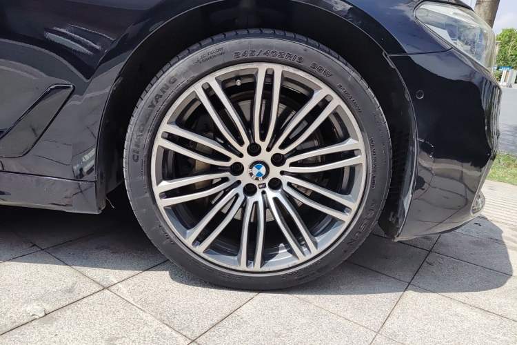 Used BMW 5 Series 2019 530Li Luxury Edition M Sport Package Exterior 7