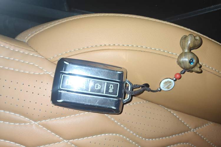 Used Tank 500 2022 3.0T Sport Edition Summit Version 5 Seats