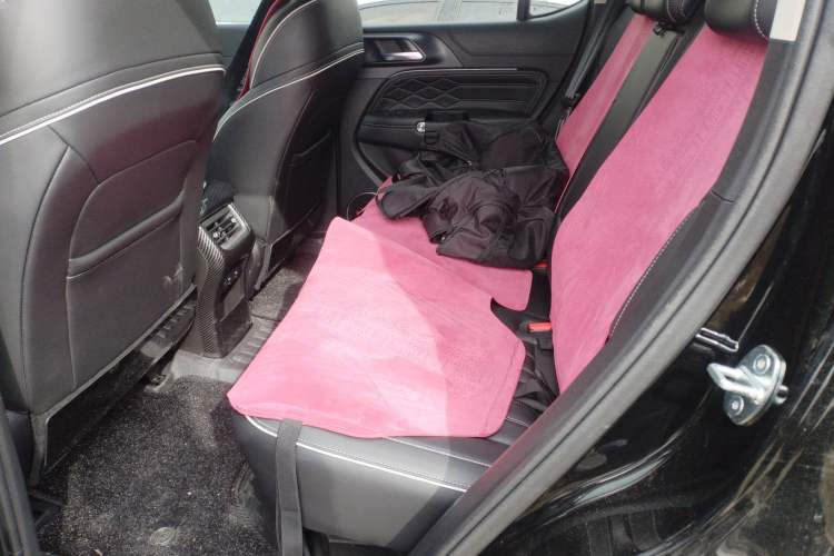 Used Tank 300 2024 2.0T Challenger