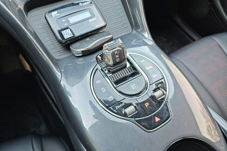 Used BYD e2 2023 Luxury Model Gear Lever