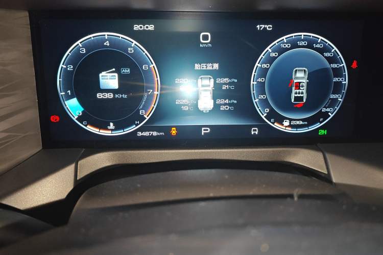 Used Tank 300 2024 2.0T Conqueror