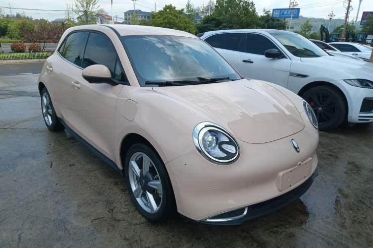 Used ORA Good Cat 2023 401 km Standard Range Luxury Version Lithium Iron Phosphate Exterior 1