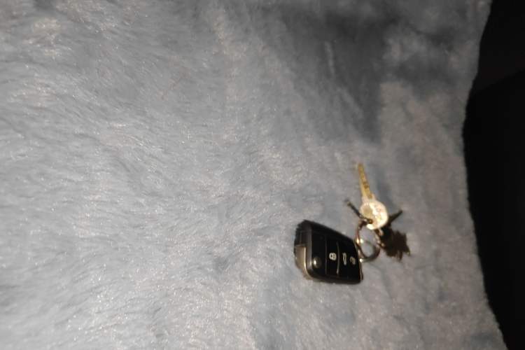 Used Volkswagen Tayron 2020 330TSI Two-Wheel Drive Luxury Smart Connectivity Version