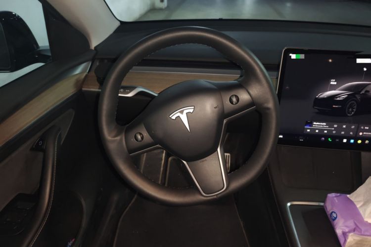 Used Tesla Model Y 2022 Revised Version Long-Range All-Wheel Drive
