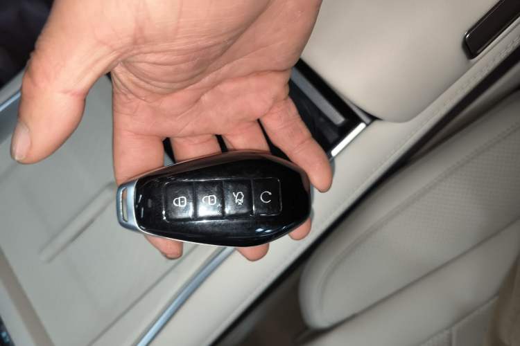 Used Denza N9 2025 Prestige Version