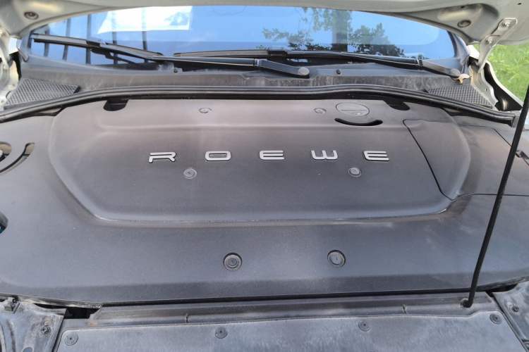 Used Rising ER6 2020 620 km Smart Edition