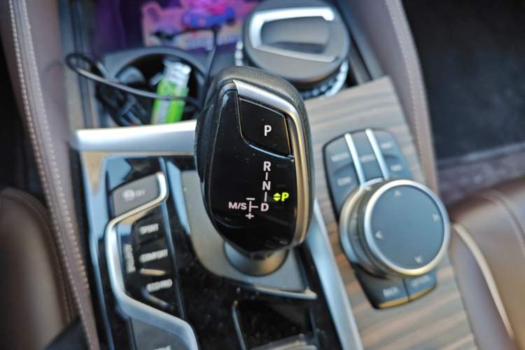 Used BMW 5 Series New Energy 2019 530Le Luxury Package