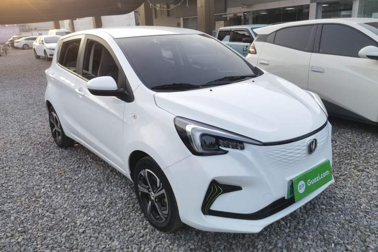 Used CHANGAN OSHAN Benni E-Star 2020 Xinyue Edition Lithium-NMC Exterior 1