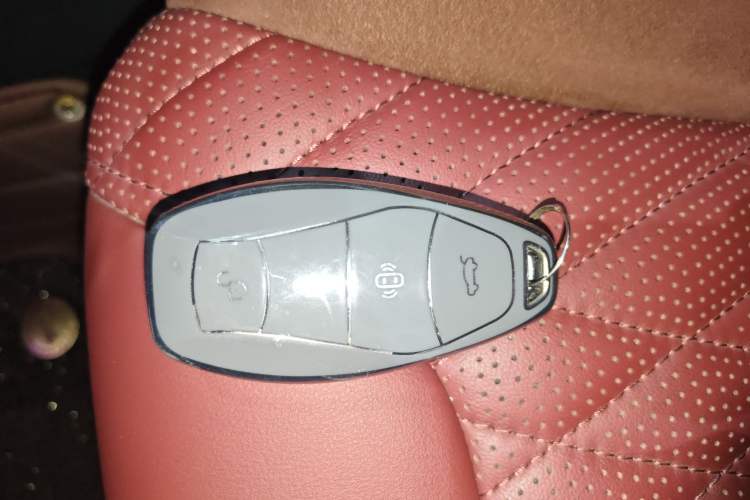 Used Hongqi HS5 2023 2.0T Four-Wheel Drive Flagship Pro Edition
