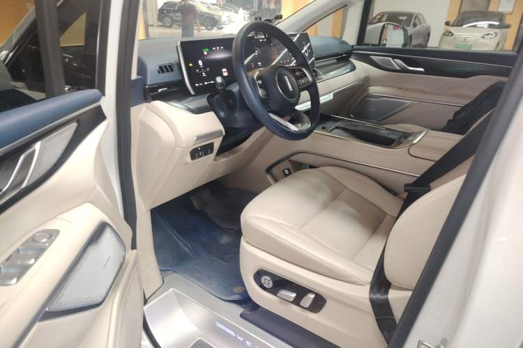 Used Wey Gaoshan 2023 Four-Wheel Drive Flagship Edition Driver Seat