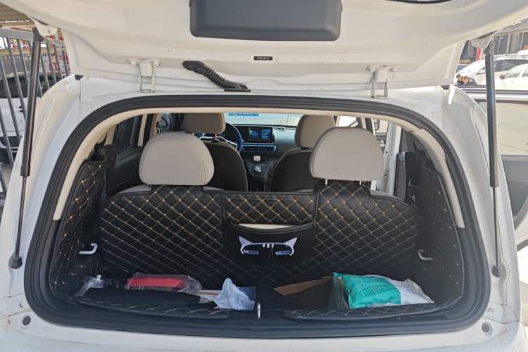 Used ORA White Cat 2020 305 km Luxury Version