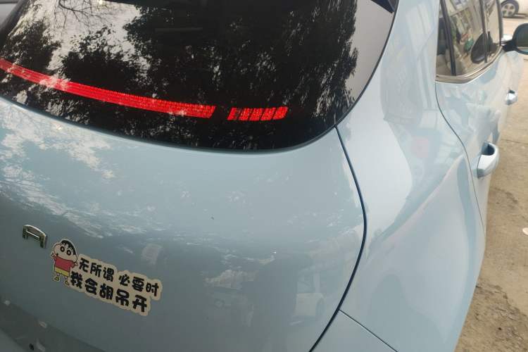 Used ORA Good Cat 2023 401 km Standard Range Luxury Version Lithium Iron Phosphate
