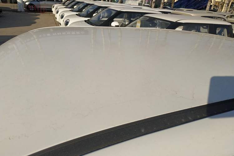 Used Qiyuan Lumin 2025 205 km Xiangqin Version