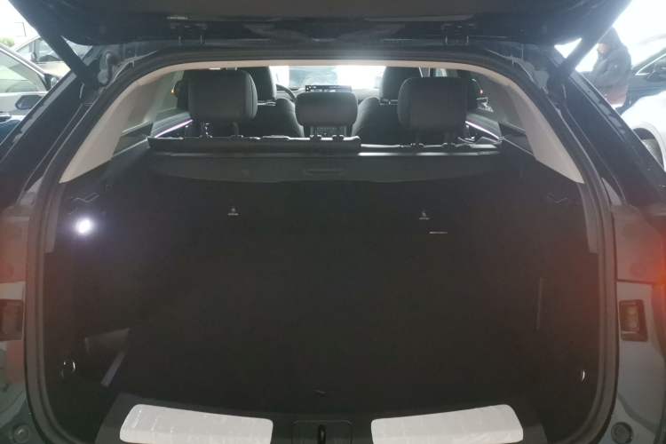 Used Wey Mocha New Energy 2024 Hi4 Four-Wheel Drive Long-Range Version