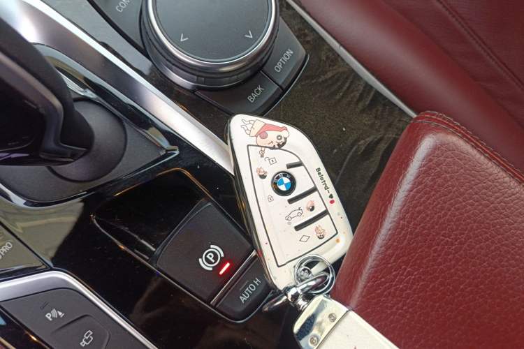 Used BMW 5 Series 2020 530Li Luxury Edition M Sport Package