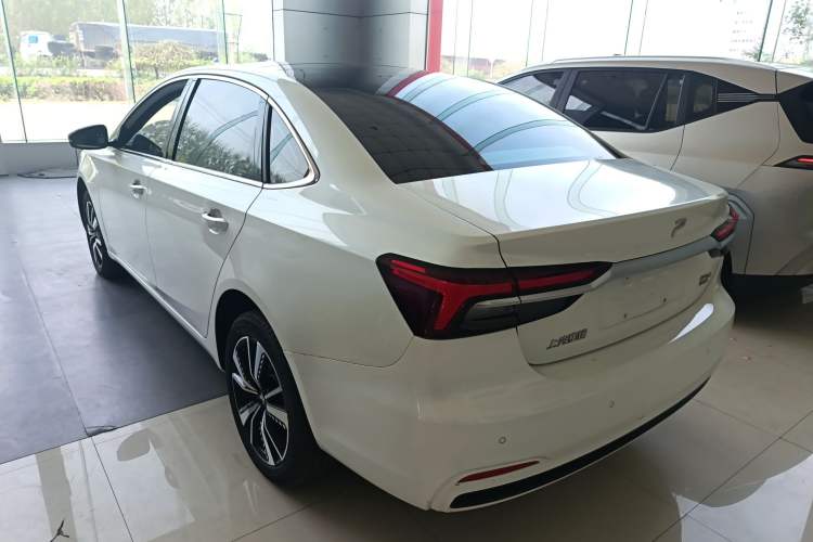 Used Rising ER6 2021 New Dynamic Edition 620km Smart Drive Version