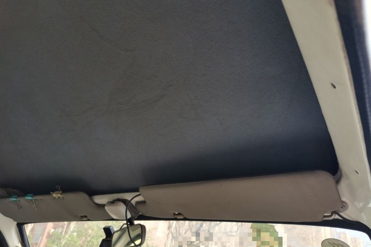 Used Skywell D10  Headliner