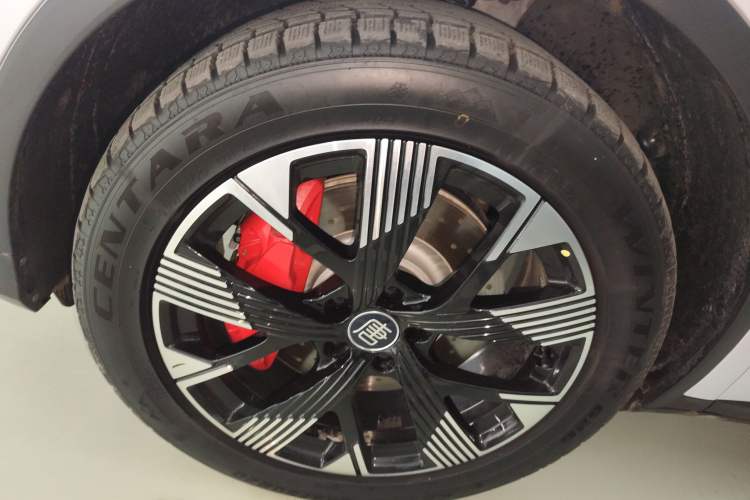 Used BYD Tang New Energy 2024 DM-p Champion Edition 215 km All-Wheel-Drive Flagship Model Left Front Wheel Hub