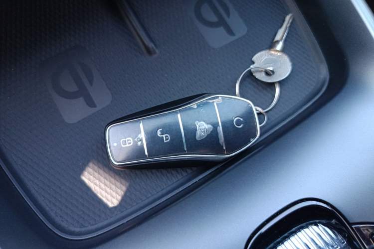 Used BYD Seal 2023 Champion Edition 700km Performance Version