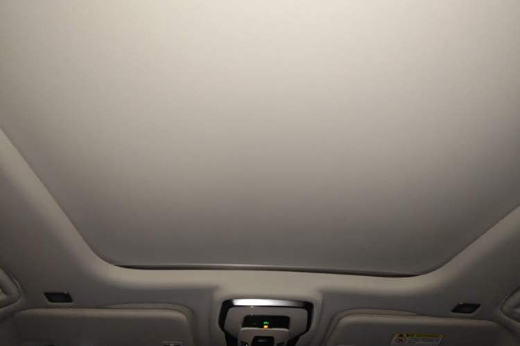 Used Hongqi E-HS9 2021 510 km Range Flagway Edition Six Seats Headliner