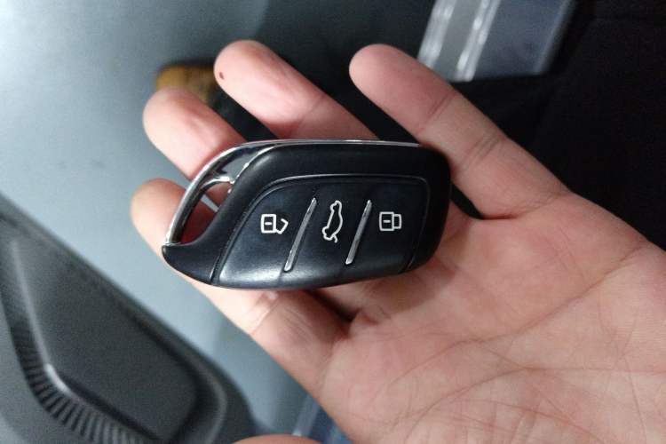 Used Rising ER6 2021 New Dynamic Edition 620km Smart Enjoyment Version
