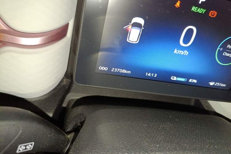 Used SOL E10X 2022 Flower Fairy Style Baby's Breath Odometer Close Up