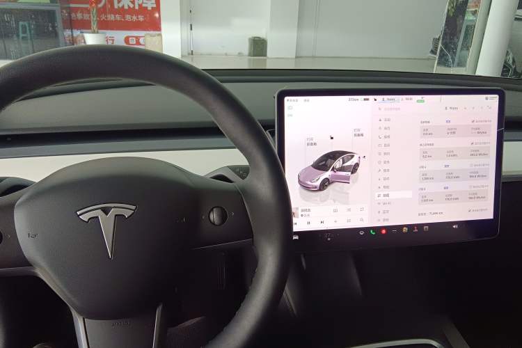 Used Tesla Model 3 2022 Rear-Wheel-Drive Version
