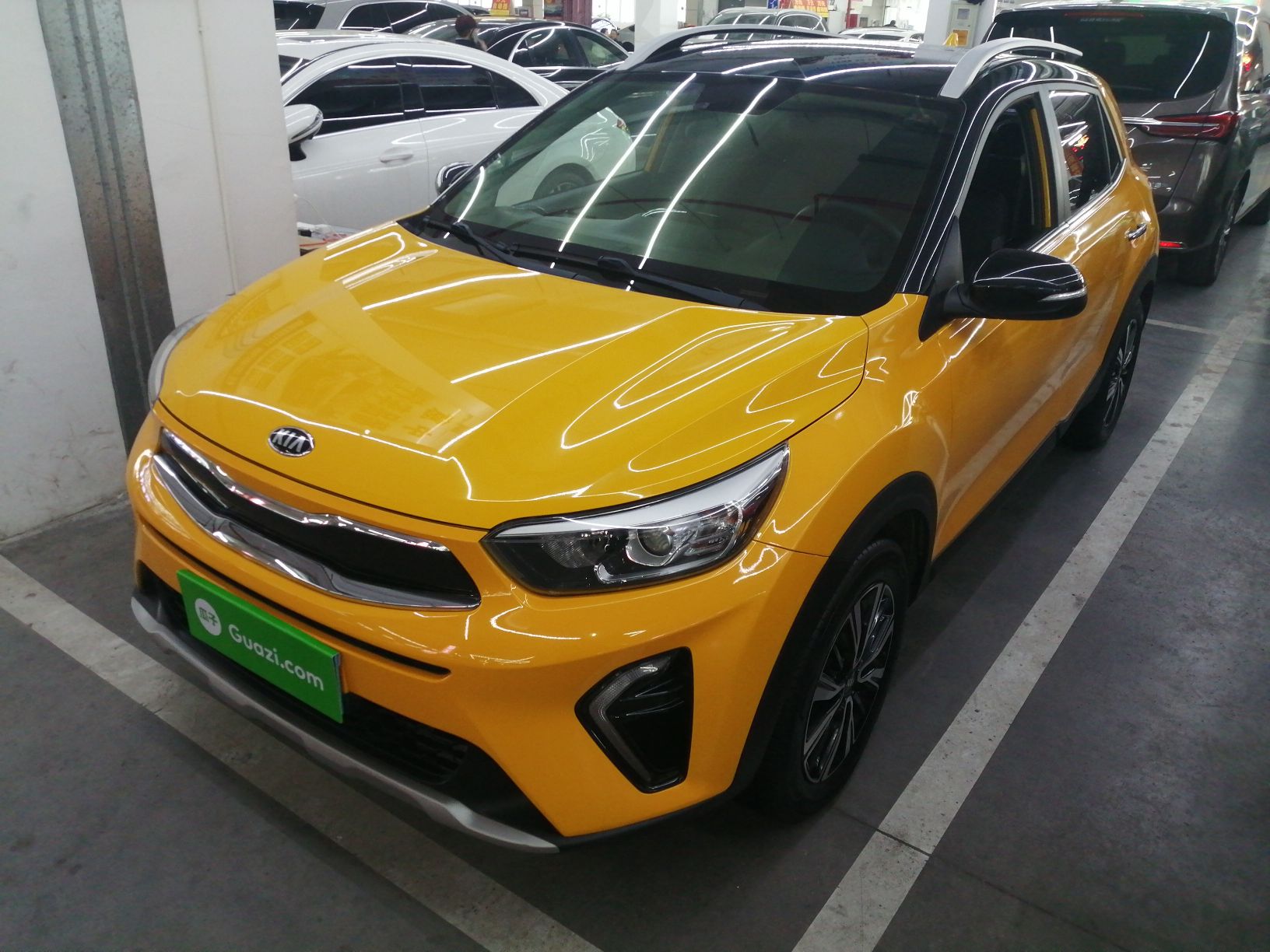 Parte inferior delantera