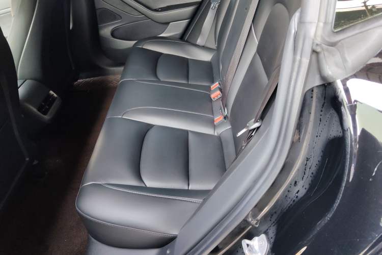 Used Tesla Model 3 2020 Standard Range Rear-Wheel Drive Upgraded Version