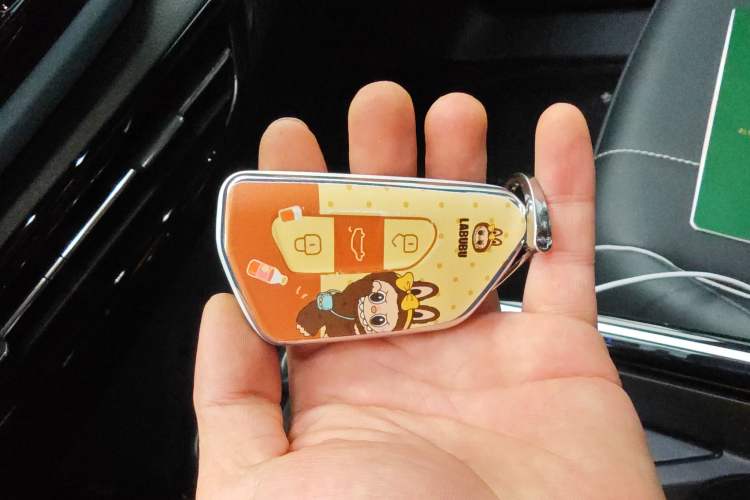 Used Volkswagen ID.4 X 2023 Pure Long-Range Version Vehicle Key