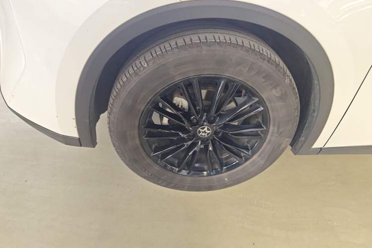 Used Venucia V 2023 260T Idol Edition Pro