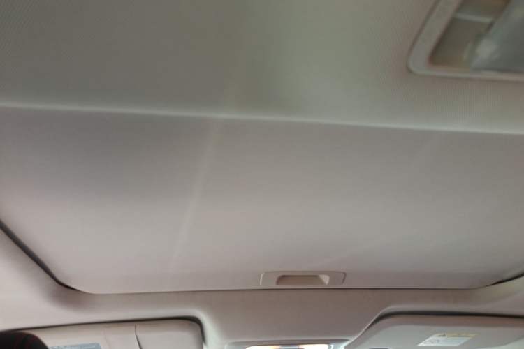 Used Venucia D60 2018 1.6L Manual Smart Connect Elite Edition Headliner