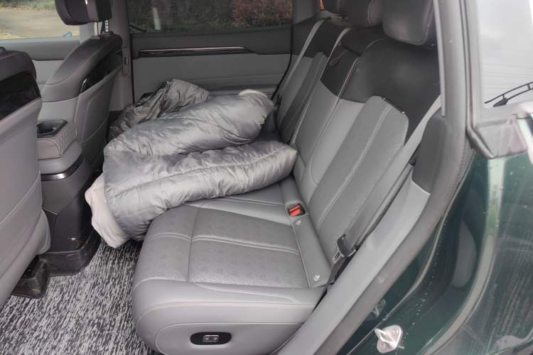 Used Zeekr 7X 2025 100 kWh Long-Range Rear-Wheel Drive with Intelligent Driving Features Left Rear Seat