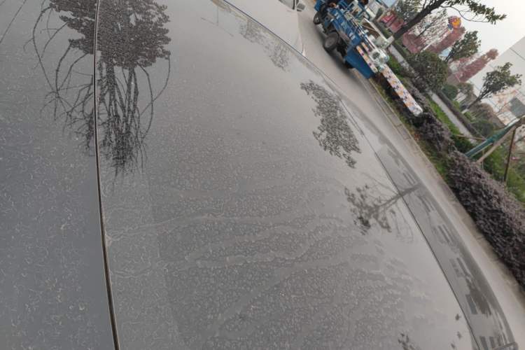 Used Tesla Model 3 2020 Revised Version Standard Range Rear-Wheel Drive – Upgraded Edition