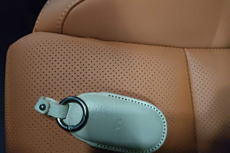 Used Li Auto L6 2024 Pro Model Interior 1