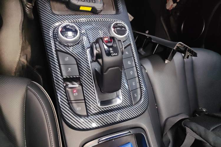 Used Tank 300 2024 2.0T Conqueror
