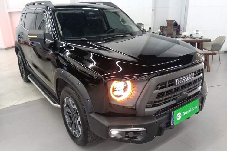 Used Haval DARGO 2024 2.0T DCT Chinese Rural Dog Edition
