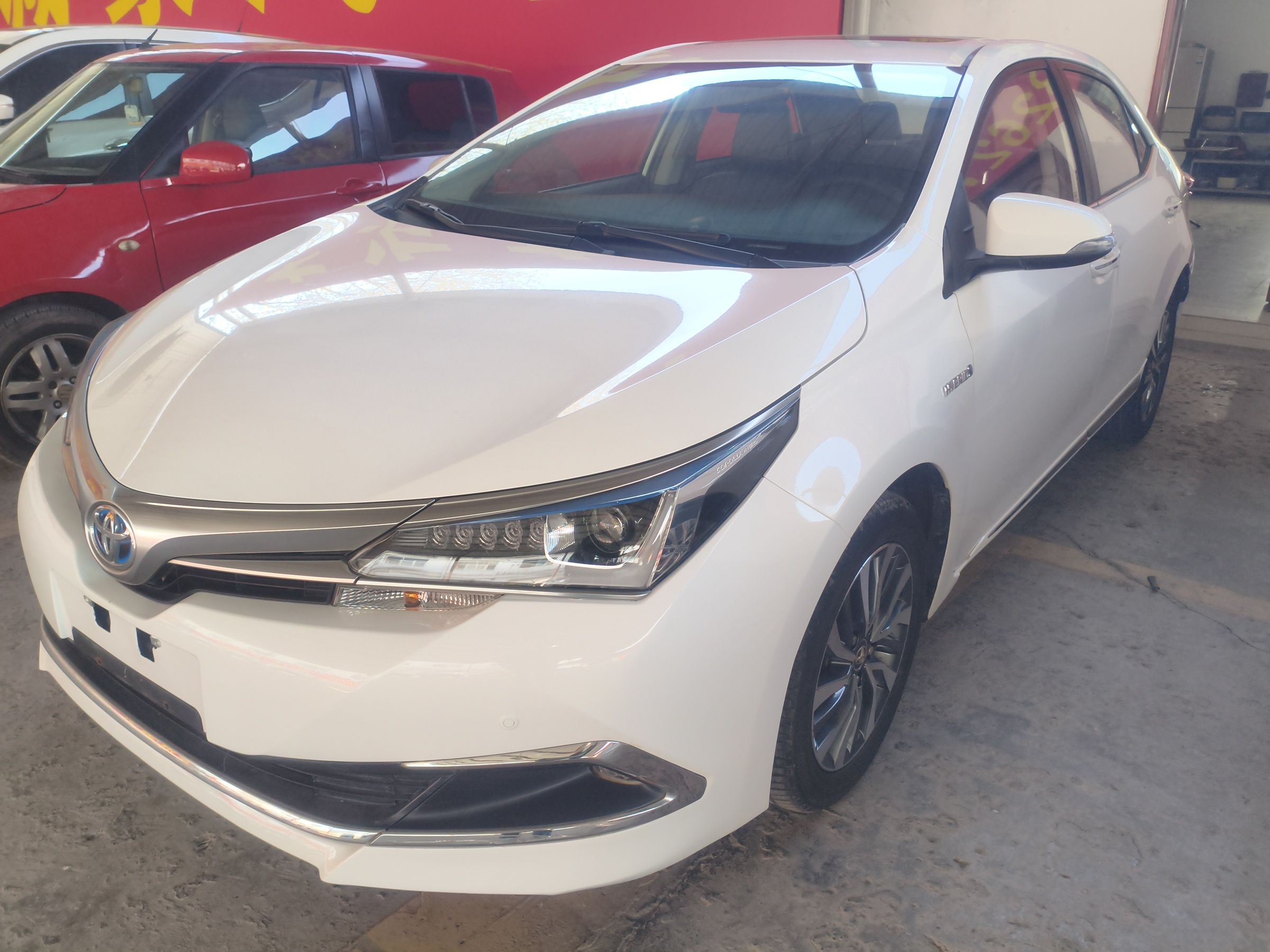 Parte inferior delantera