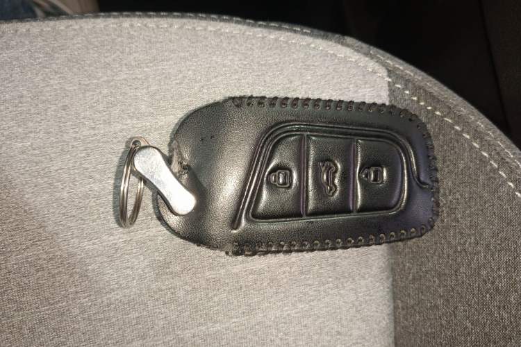 Used Chery QQ Little Ant 2021 200 000-Yuan Ant Fan Edition Energized Version Lithium Iron Phosphate 301 km Vehicle Key