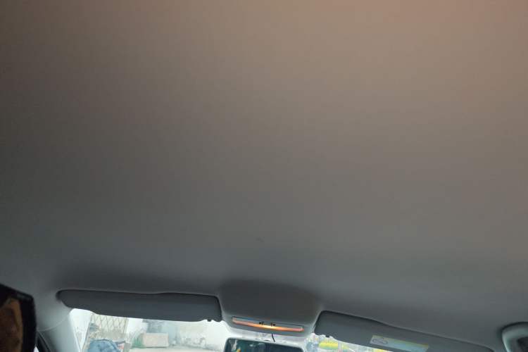 Used Volkswagen Polo 2016 1.4L Automatic Trendy Model Headliner