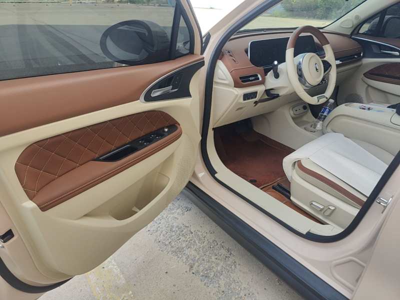 Used ORA Good Cat 2024 401 km Luxury Version — 15