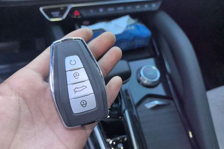 Used Geely Auto Monjaro L 2024 2.0TD DCT EVO Two-Wheel Drive Long-Range Version