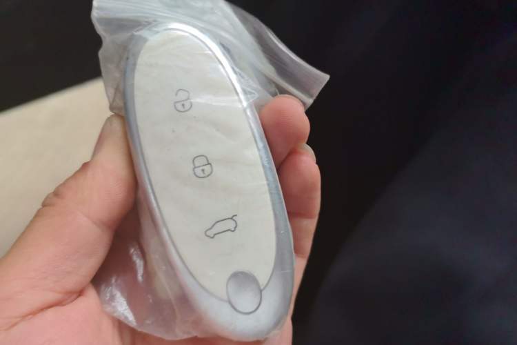 Used Dongfeng NAMMI 01 2024 430 Max Smart+ Vehicle Key