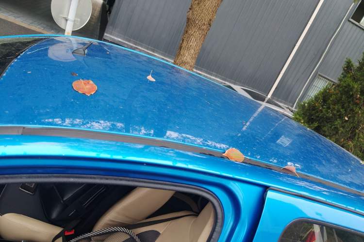 Used Suzuki Alto 2009 1.0L Automatic Luxury Version Roof