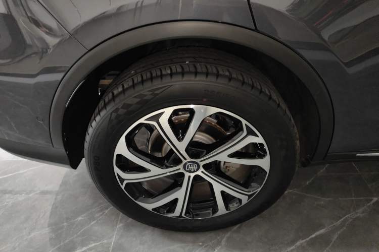 Used BYD Tang New Energy 2025 Intelligent Driving Version DM-i 115KM Flagship Edition Exterior 5