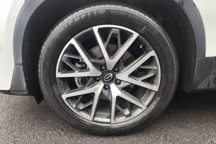 Used GAC Trumpchi GS8 2022 LINGHANG Series 2.0 TGDI Two-Wheel-Drive Luxury Edition (7 Seats)