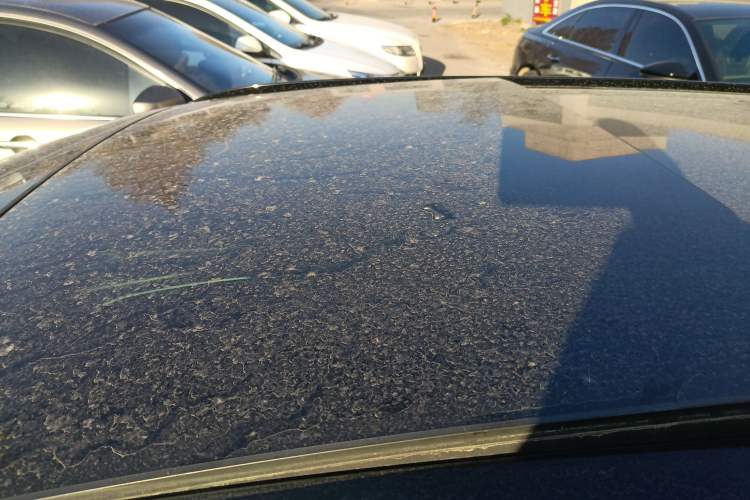 Used Audi A6 2021 Avant Avant-garde 45 TFSI Prestige Dynamic Edition