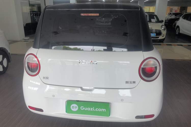 Used CHANGAN NEVO Lumin 2022 210km Sweet Edition Rear