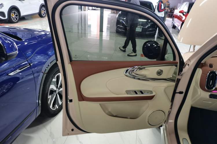 Used ORA Ballet Cat 2023 401 km Luxury Version