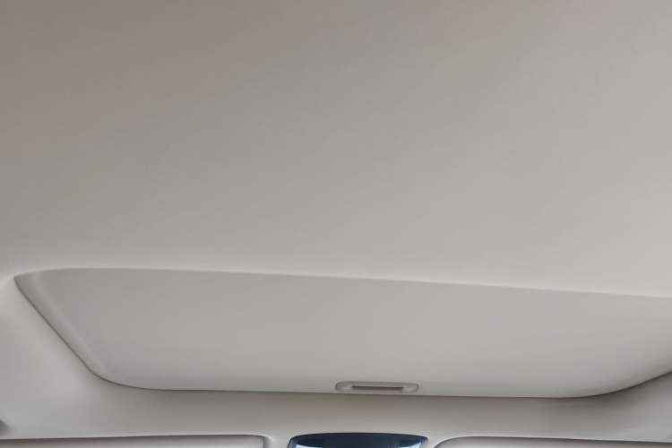 Used Kia Carnival 2021 2.0T Luxury Premium Model
